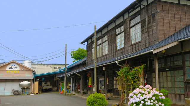 黄金井酒造株式会社【厚木市】